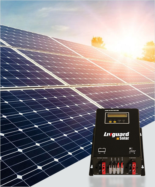 Livguard Solar Panel With Solar SMU